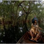Una película para enamorarse de la Amazonia